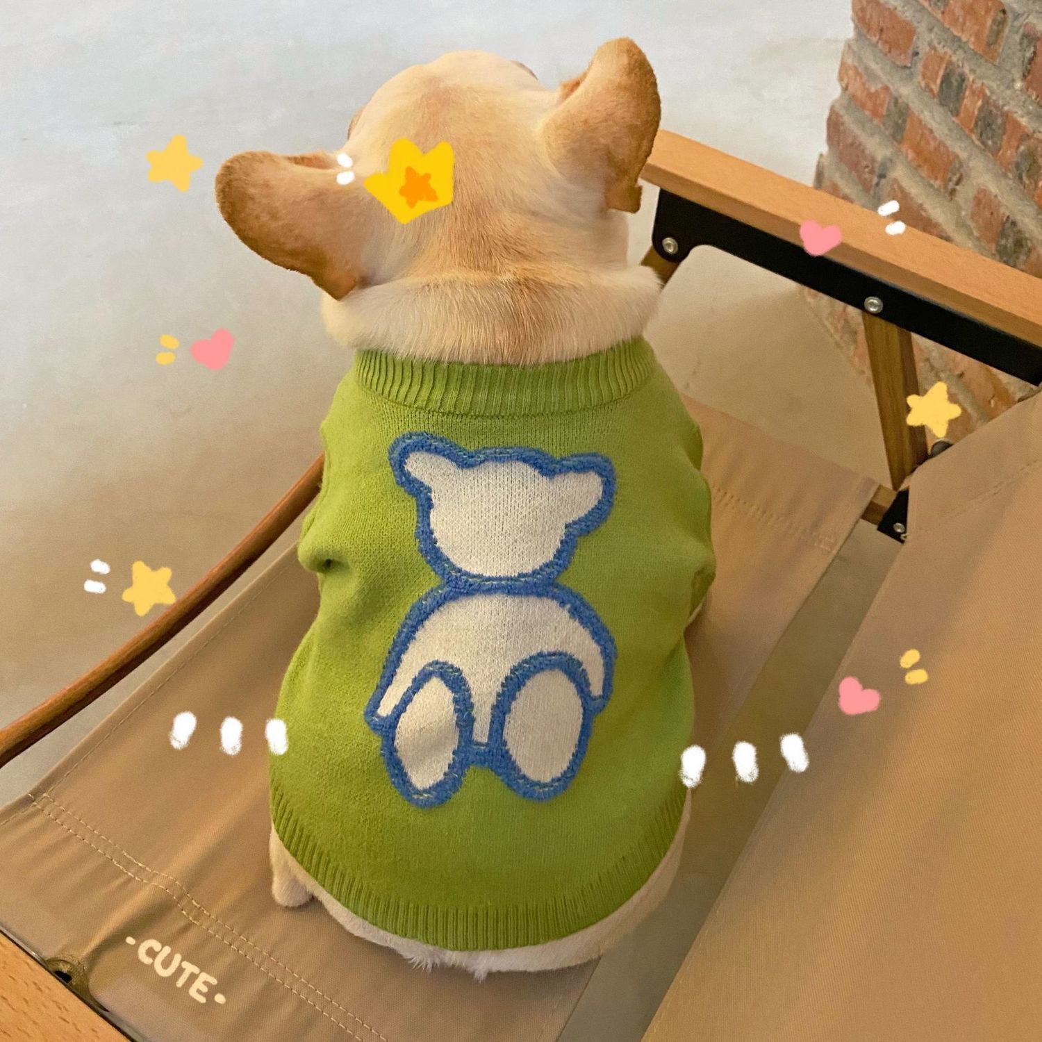 秋冬网红狗狗衣服潮牌卫衣泰迪比熊雪纳瑞巴哥斗牛小型犬法斗衣服