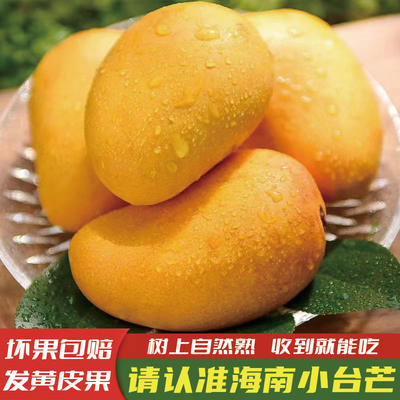 小台芒当季新鲜小台农芒果热带芒现摘大果海南产地直发新鲜水果