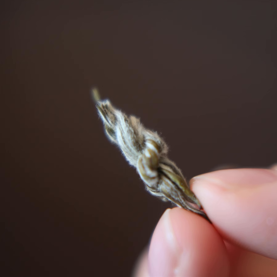 【龍年大發】自是九窨麦穗礼盒 福州茉莉花茶 花在野礼盒