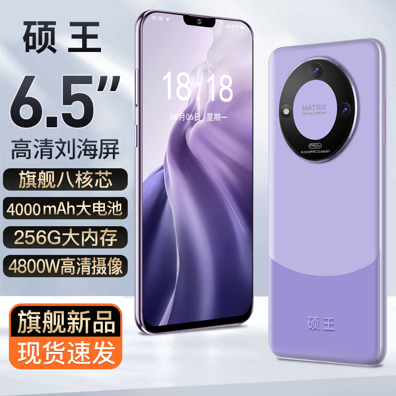 【官方正品】2023新款高档全新正品智能双卡双待全网通时尚手机