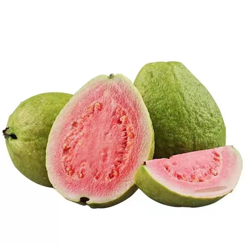 广东新鲜软糯红心芭乐爽脆红心番石榴口感香甜好吃果园直发包邮