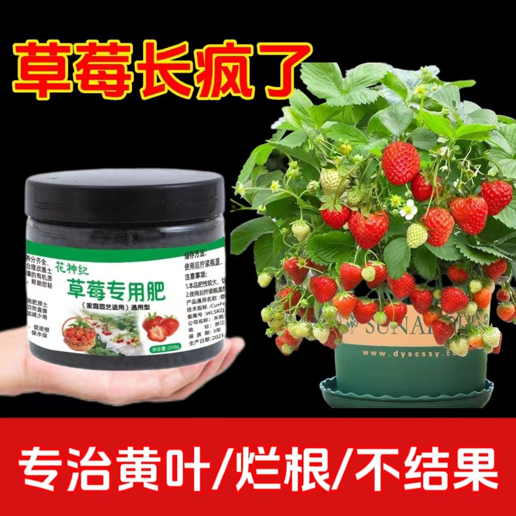 草莓颗粒肥家用室内施肥盆栽草莓颗酸碱性粒水溶肥钙肥增草莓适用