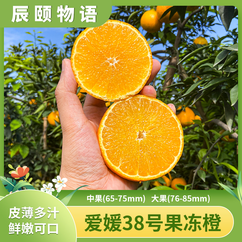 辰颐物语【皮薄·爆汁】爱媛38号果冻橙 橙子手剥橙新鲜采摘鲜甜多汁