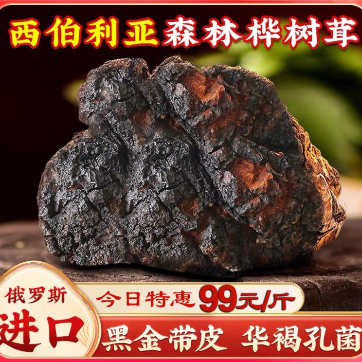 《   特惠福利》俄罗斯进口桦树茸250/500g/一袋 包邮煮水泡饮