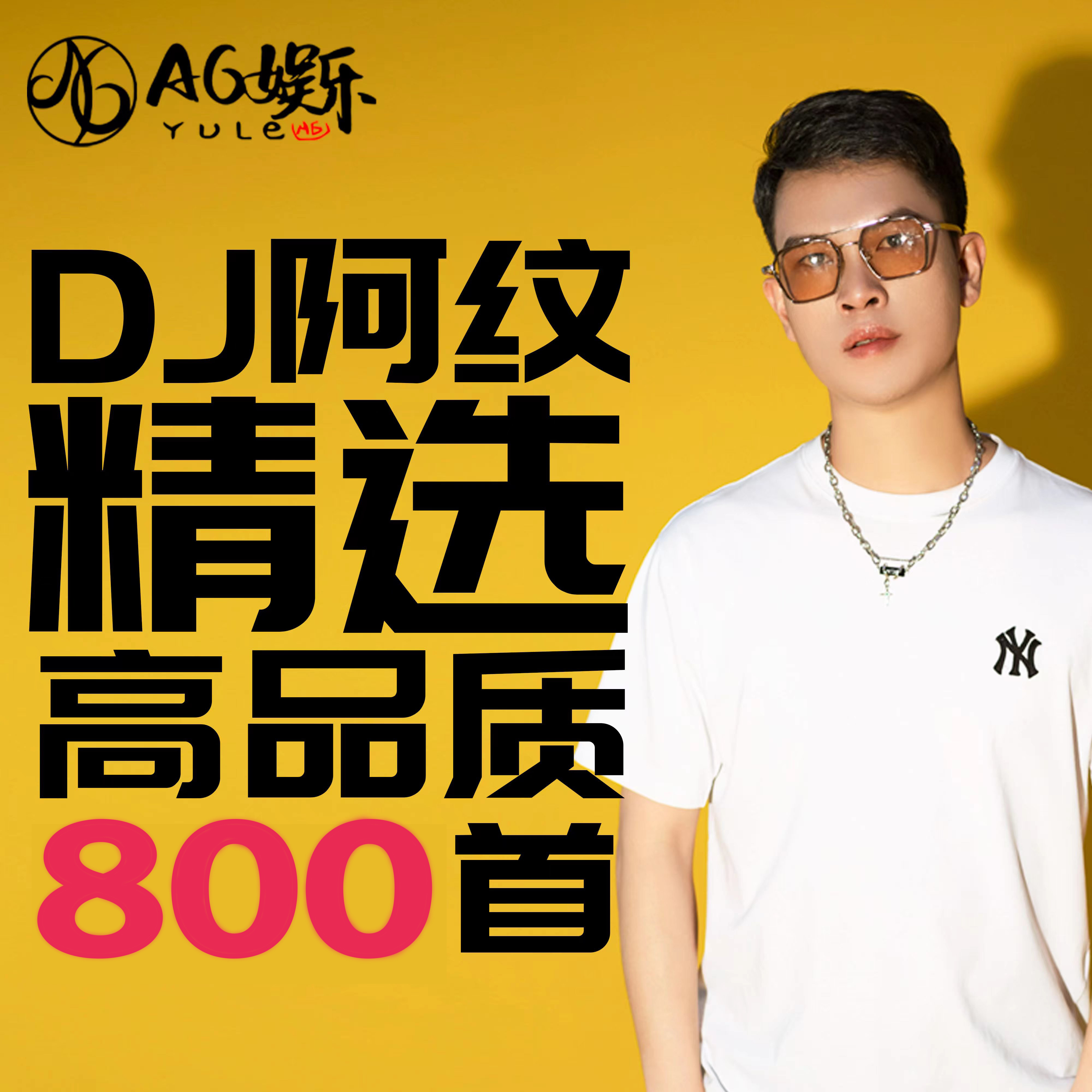 【DJ啊纹】车载音乐U盘经典串烧越南鼓热门DJ舞曲开车必备即插即用