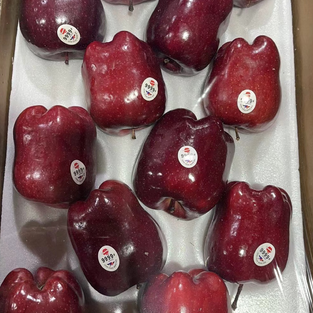 （哈尔滨仓发）花牛苹果 24粒 带箱15斤