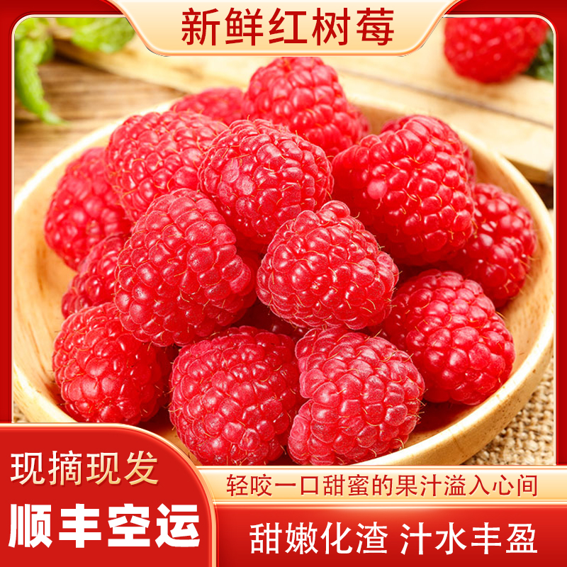 【顺丰空运】新鲜红树莓当季稀有水果覆盆子果肉饱满多汁天然现摘