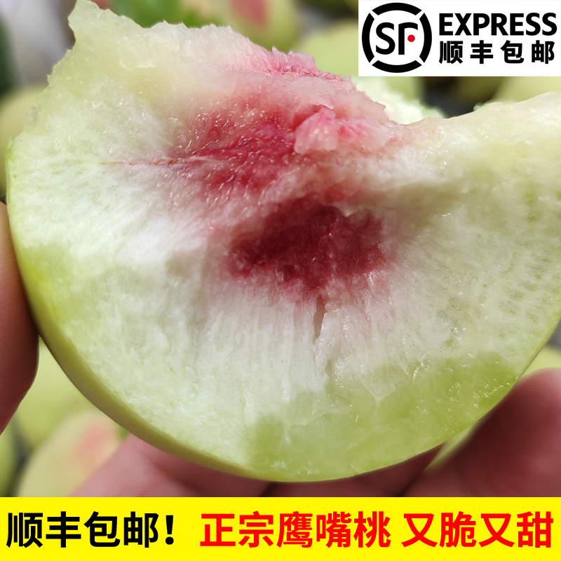 【顺丰包邮】正宗鹰嘴桃脆桃又脆又甜硬桃桃子湖北产区非连平鹰嘴桃