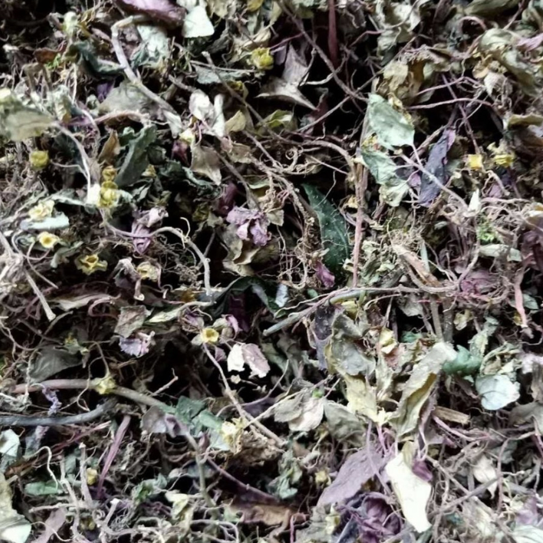 【风柜斗草】净含量250g-500g
