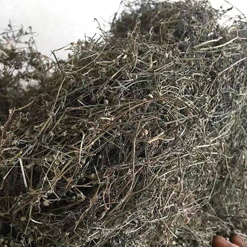 【阿豪优选】精白化蛇草===============食用农产品