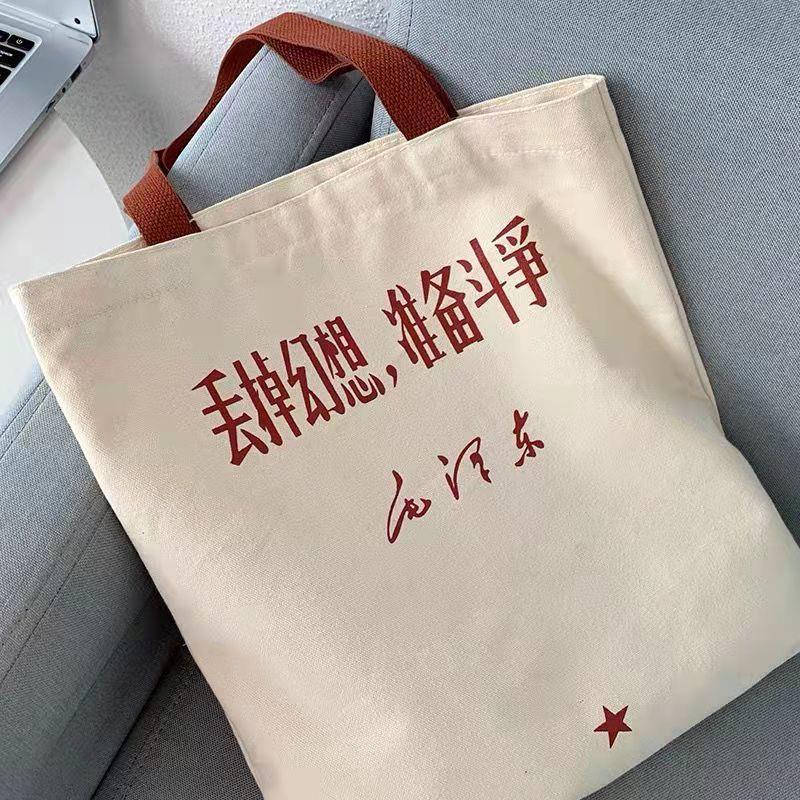 学生帆布包包女百搭ins大容量单肩上课包新款手提布袋包女大学生
