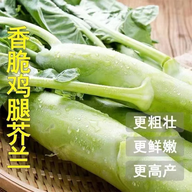 千花拍三送一芥兰菜种籽广东鸡腿粗芥蓝种子四季阳台盆栽菜籽蔬菜