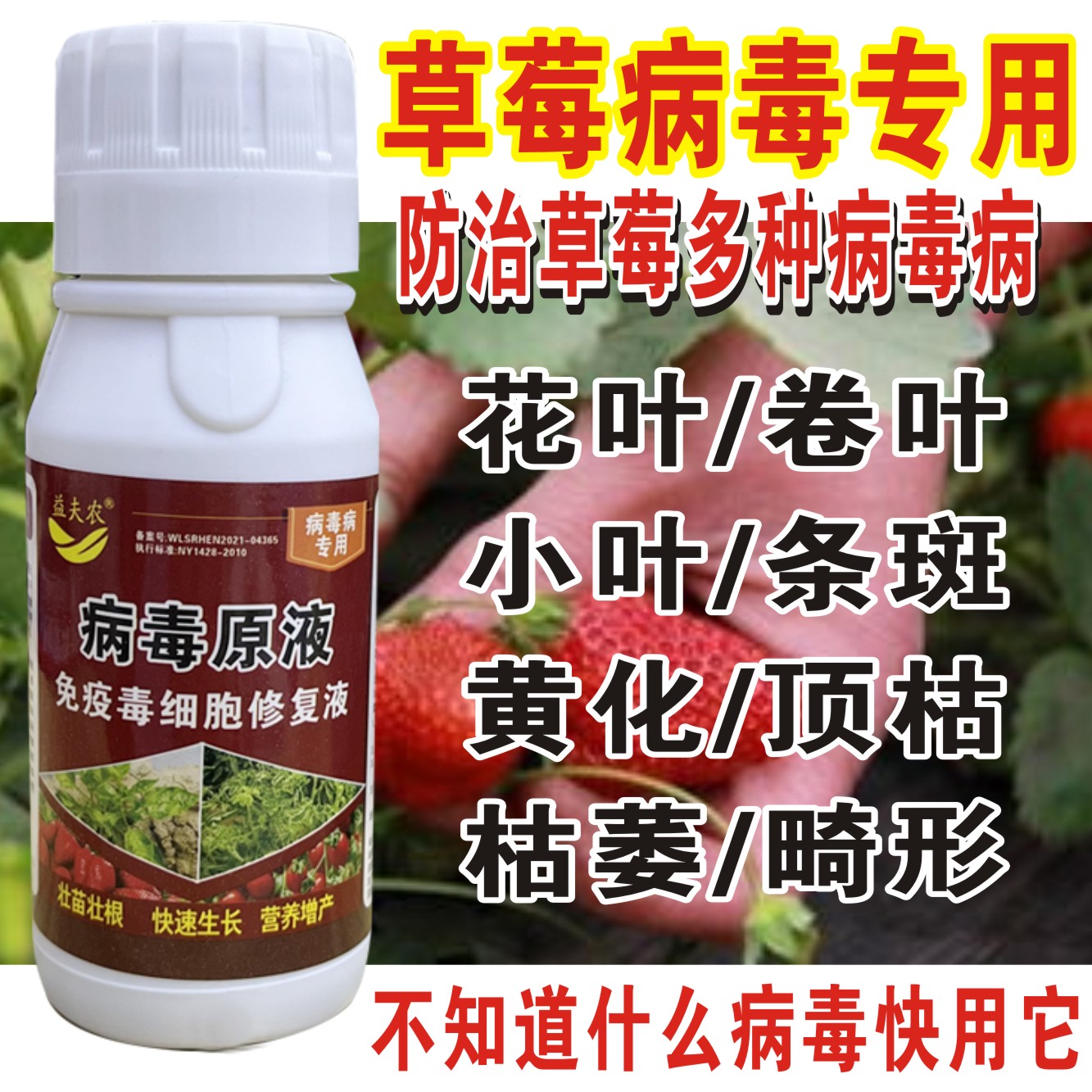 草莓病毒病防控专用病毒花叶病毒卷叶快速清菌改良微生物菌剂绿色