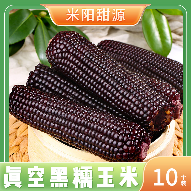 【黑糯玉米】颗粒饱满香甜黏糯独立真空包装黑玉米220g/根10支S