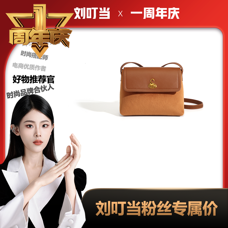 【刘叮当甄选】BORRY ROSA/新款秋冬棕色【绒面小方包】通勤潮流