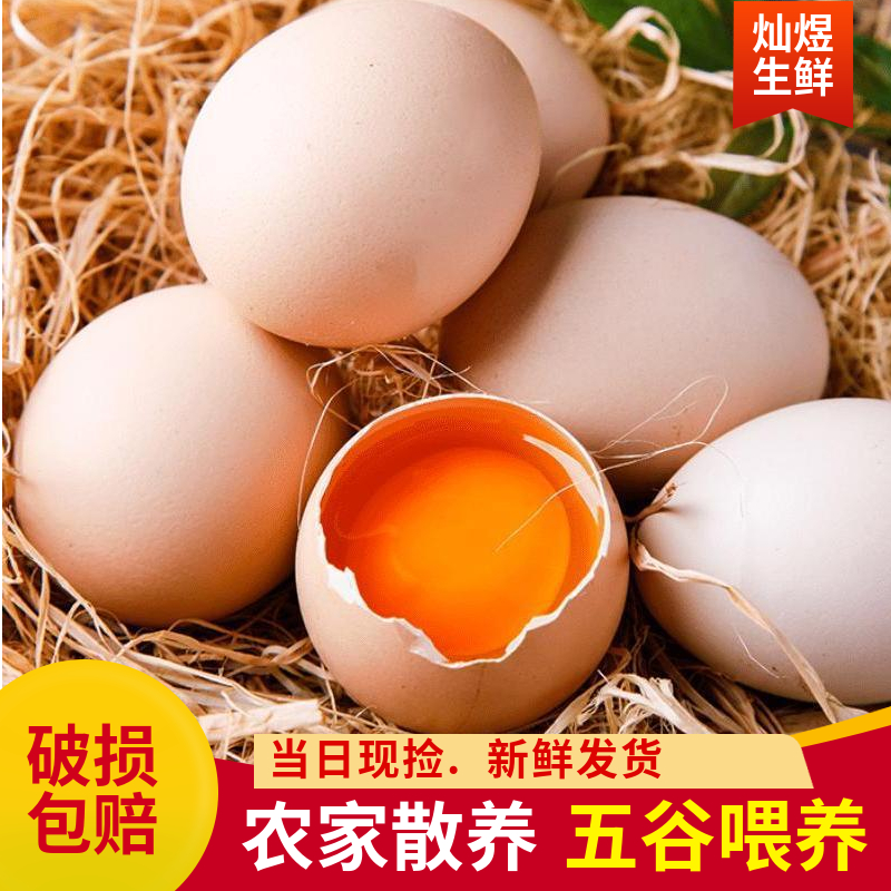 土鸡蛋40枚新鲜土鸡蛋散养土鸡蛋营养农家散养鸡养殖29.9元