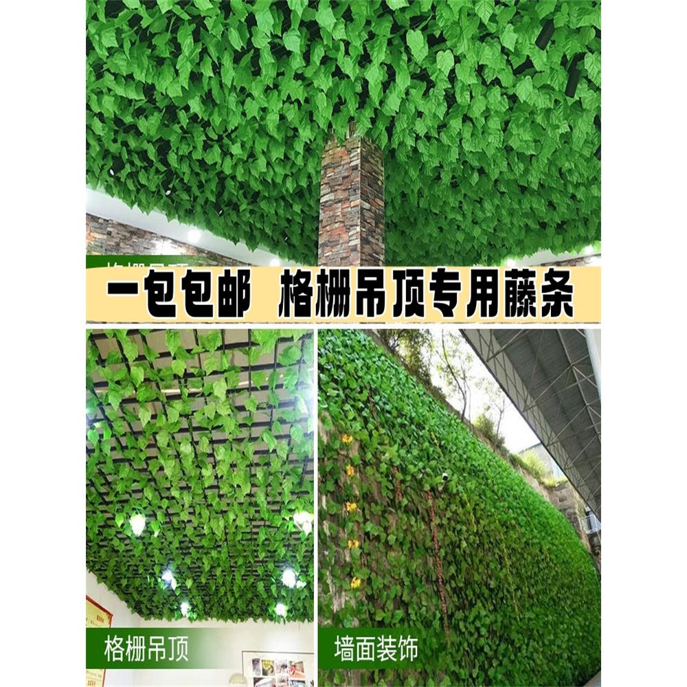 仿真葡萄叶藤条爬山虎绿叶吊顶装饰绿萝叶藤蔓缠绕遮挡管道绿植物