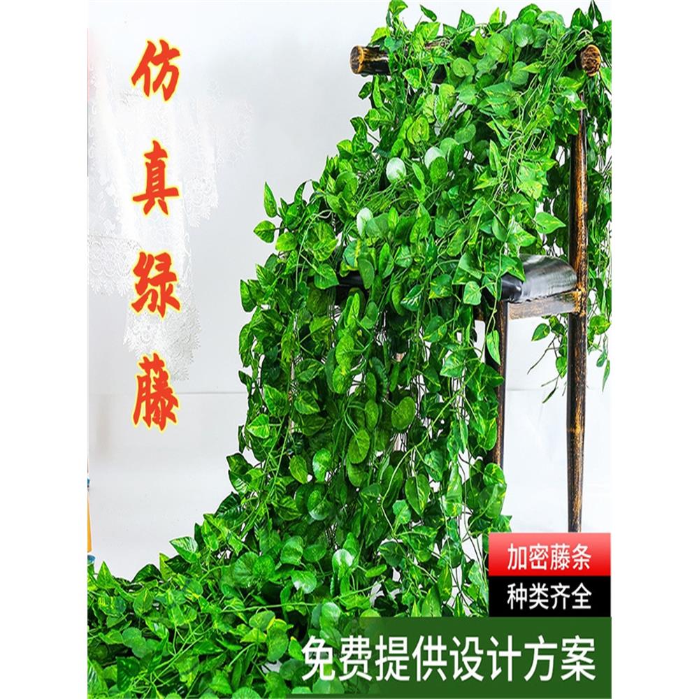 仿真藤条植物葡萄叶爬山虎花藤 绿萝藤条 绿色装饰绿植藤条常春藤