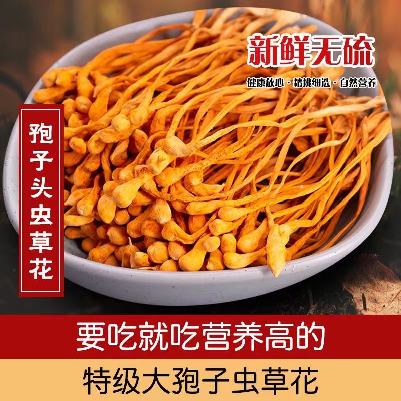精选虫草花干货新鲜金蛹北虫草菇孢子250克送礼营养