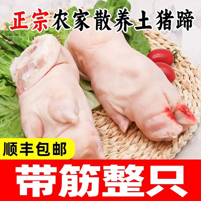 【99元发10只猪蹄】新鲜农家散养猪蹄现杀现发