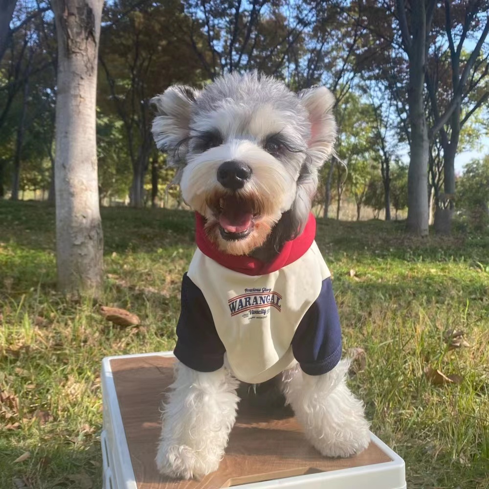 狗狗衣服秋冬款宠物卫衣拼色加绒中小型犬泰迪比熊博美雪纳瑞衣服