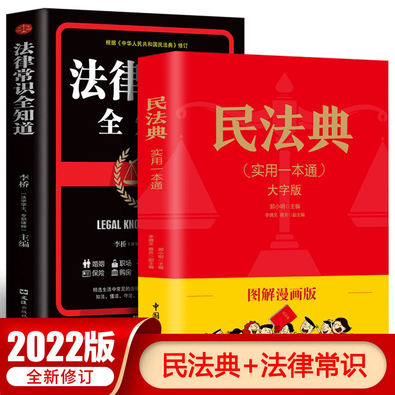 民法典漫画版年法律常识一本全民法典及司法解释实用版