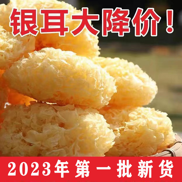 搭配枸杞煲汤泡水新货易出胶 100克起