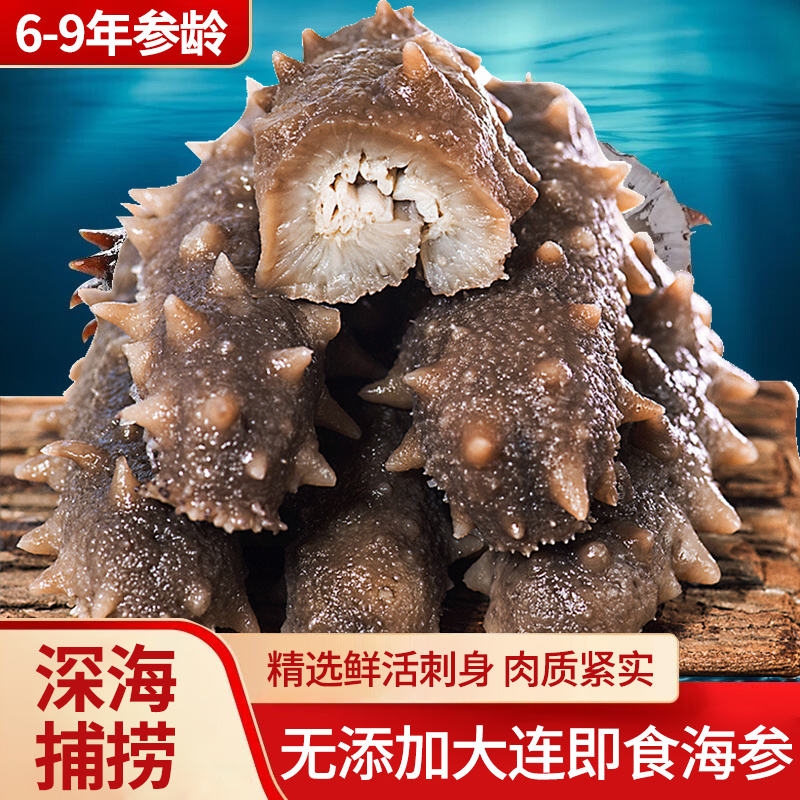 礁藏辽正宗大连礁藏辽底播辽参无任何添加净含量500g