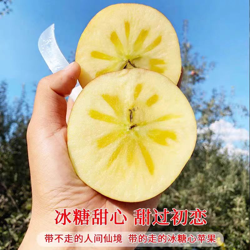 精品新鲜水果正宗的山东红富士苹果个大冰糖心整箱批发6斤装