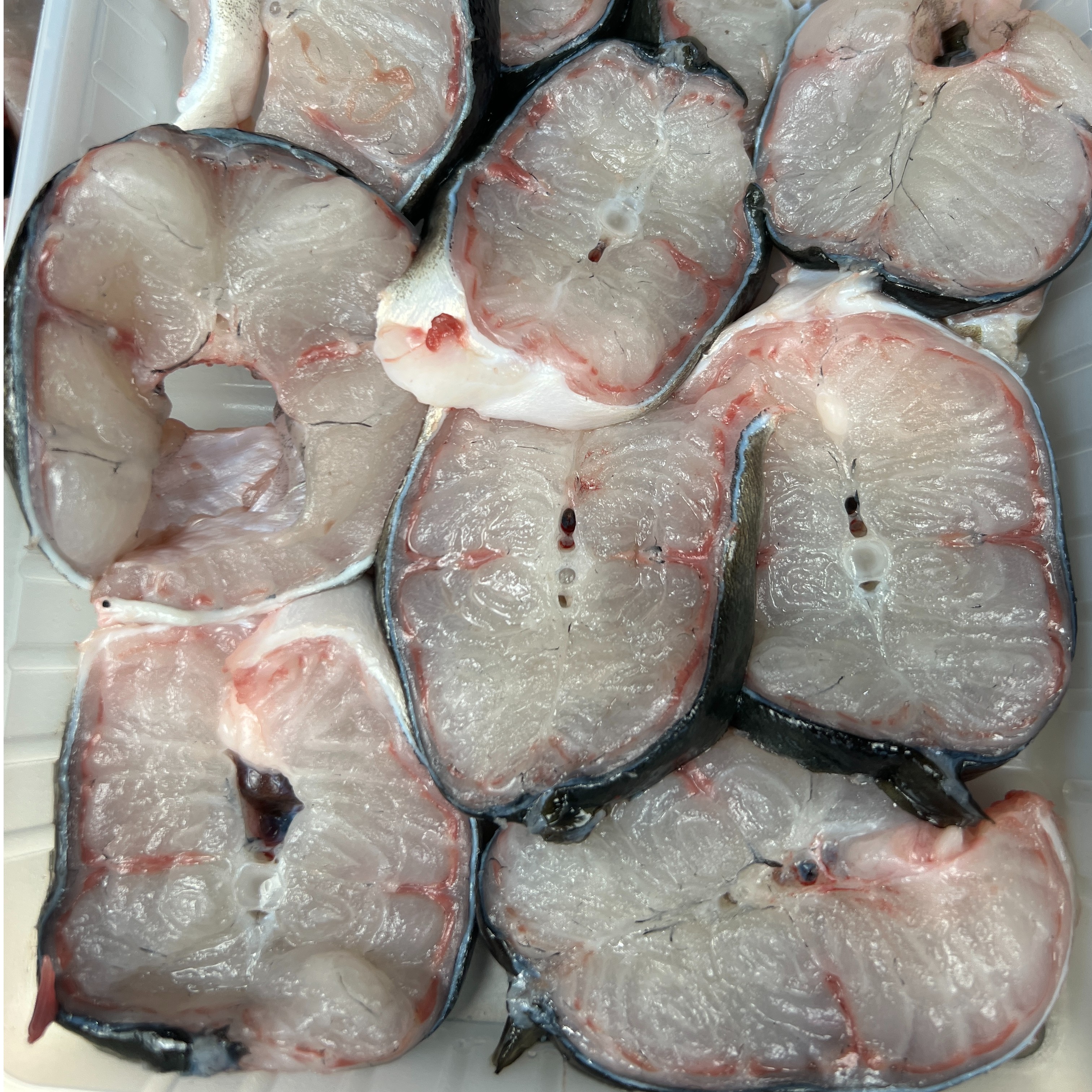 海卢鳗 新鲜鳗鱼 福建东山岛鳗鱼鲜活直发 顺丰包邮 250g/盒