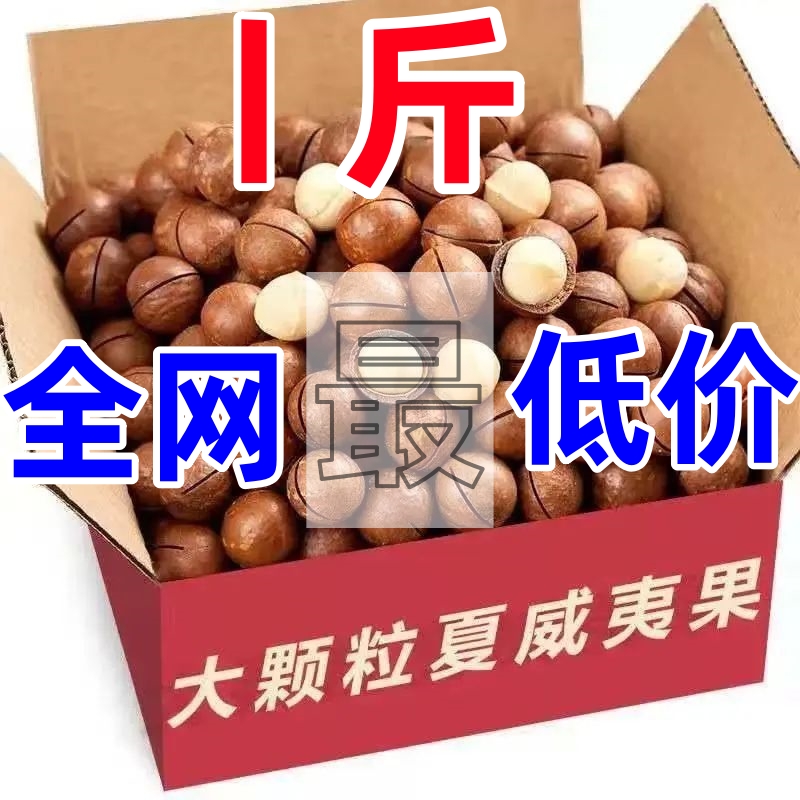 快抢500g！！】2023新货大颗粒罐装夏威夷果奶油味批发孕妇果仁饱满