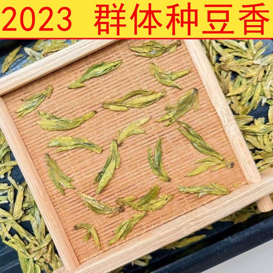 大佛龙井 群体种 （豆香）特价