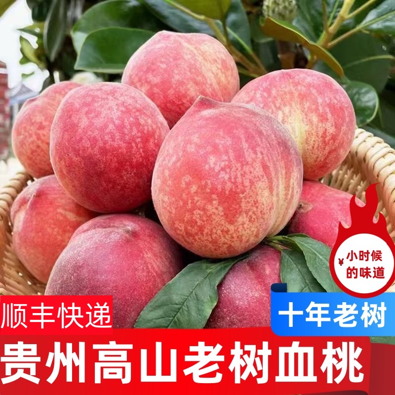 贵州高山老树百花桃现采现发当季水果毛桃结桃2斤