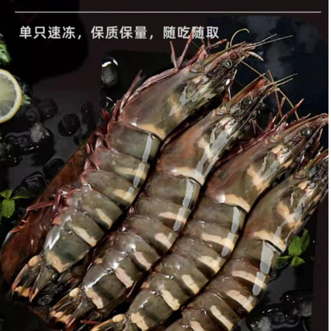 【2030黑虎虾】3斤/盒  每斤12-15只  约16-19cm 连云港发
