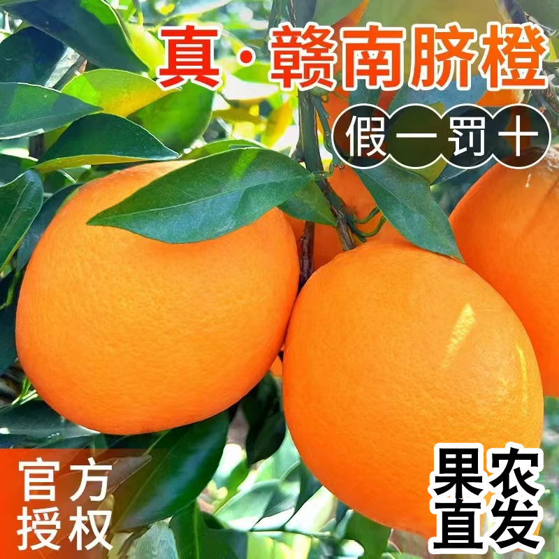 【芳芳专属】赣州脐橙子赣南脐橙子新鲜