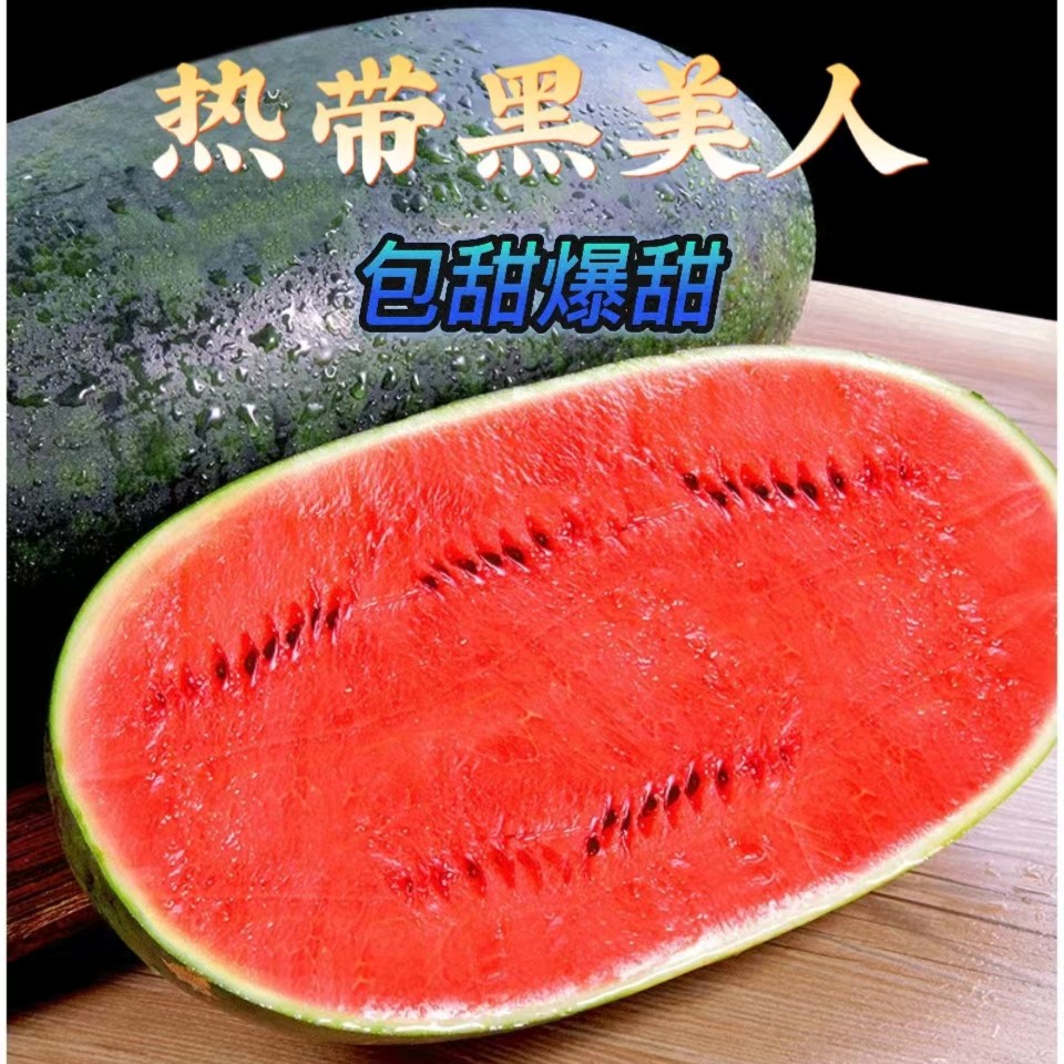 【头茬鲜瓜】热带黑美人新鲜脆甜多汁自种应季头茬瓜4-10斤香甜爆汁