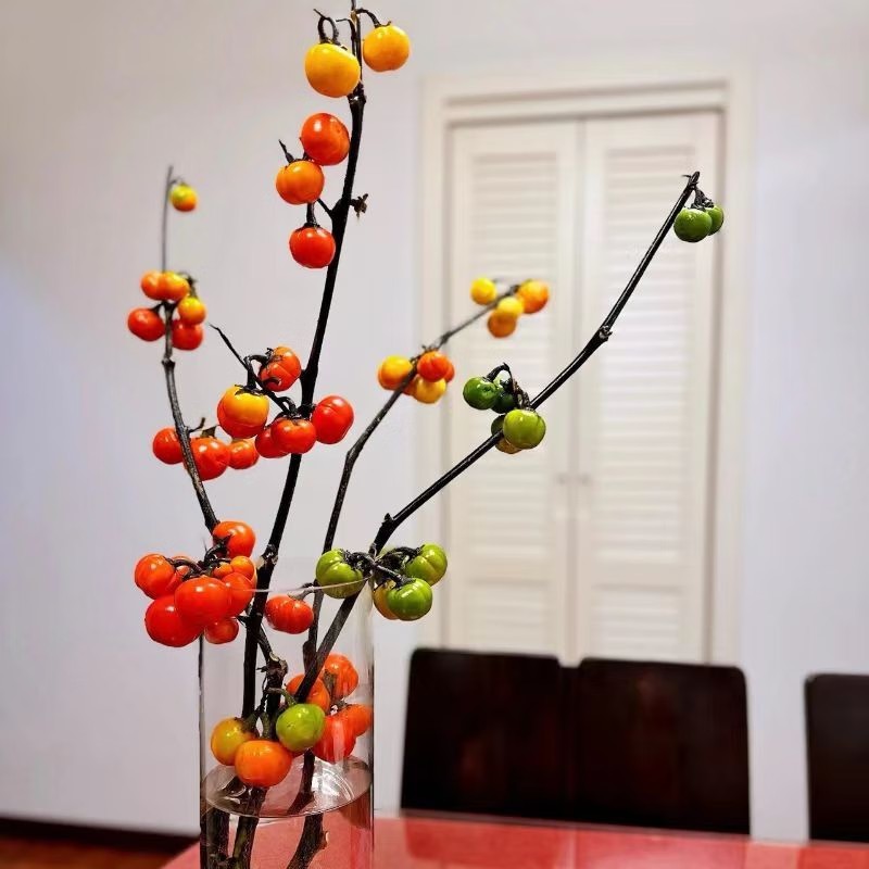 寻花卉寻花卉云南基地现采现发花小南瓜观赏植物应季花材3枝60cm