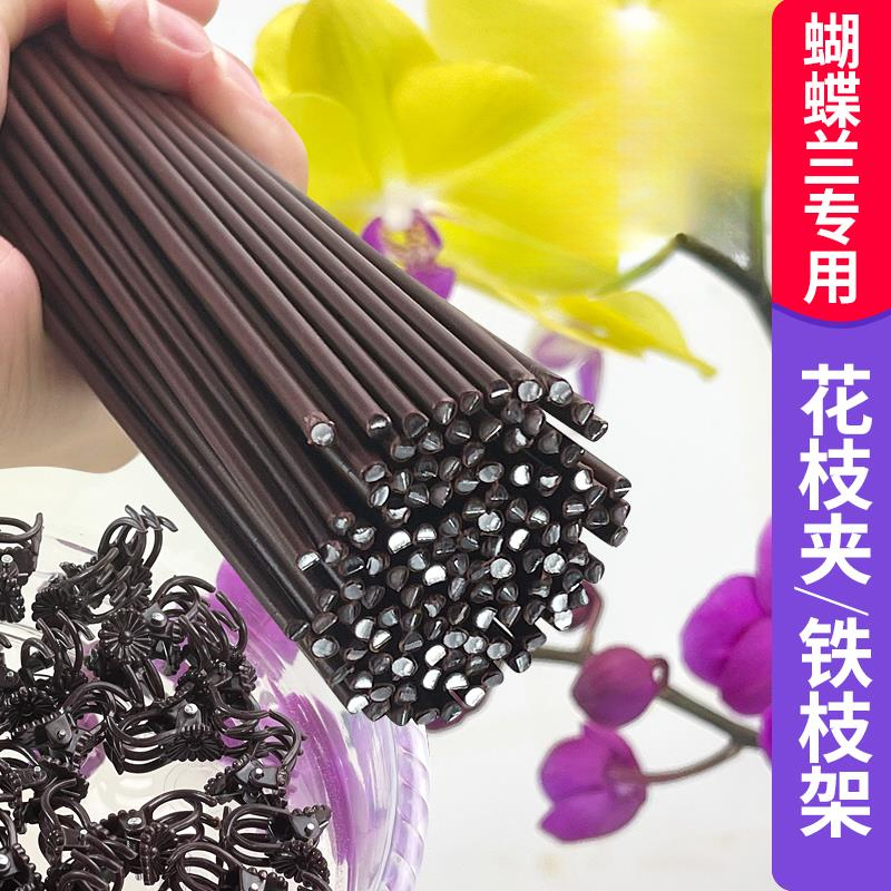 蝴蝶兰支架夹子专用固定爬藤类造型铁丝防倒伏园艺花卉植物支撑杆