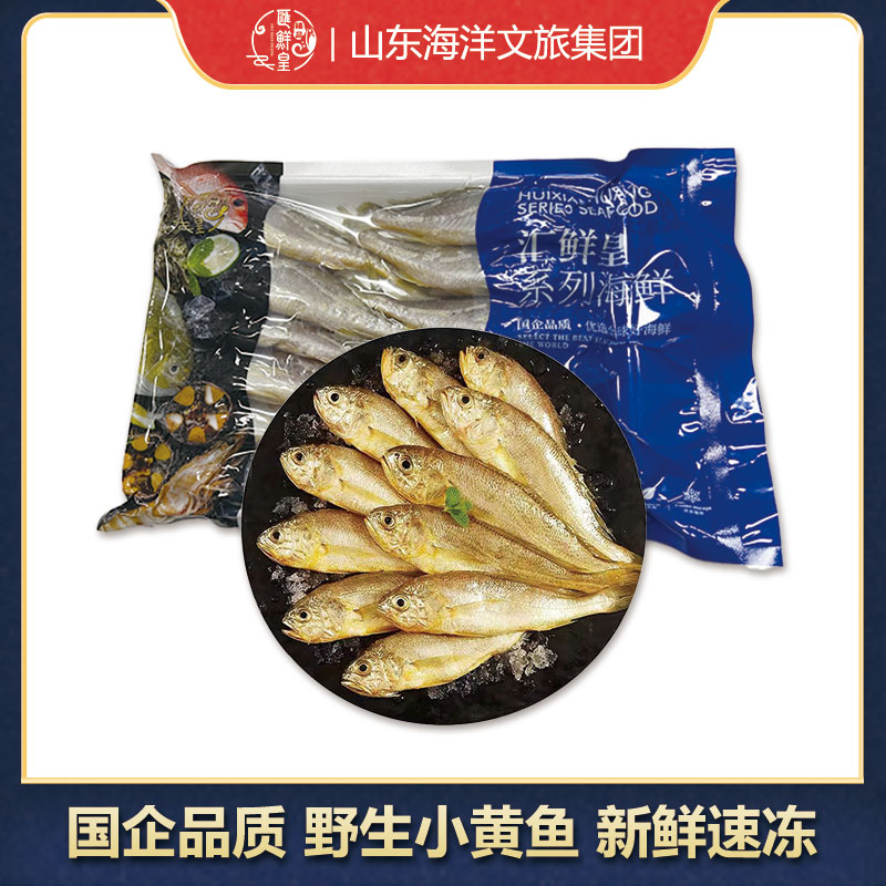 【国企品质】小黄花鱼 纯野生鲜活新鲜鲜嫩顺丰包邮 500g/袋