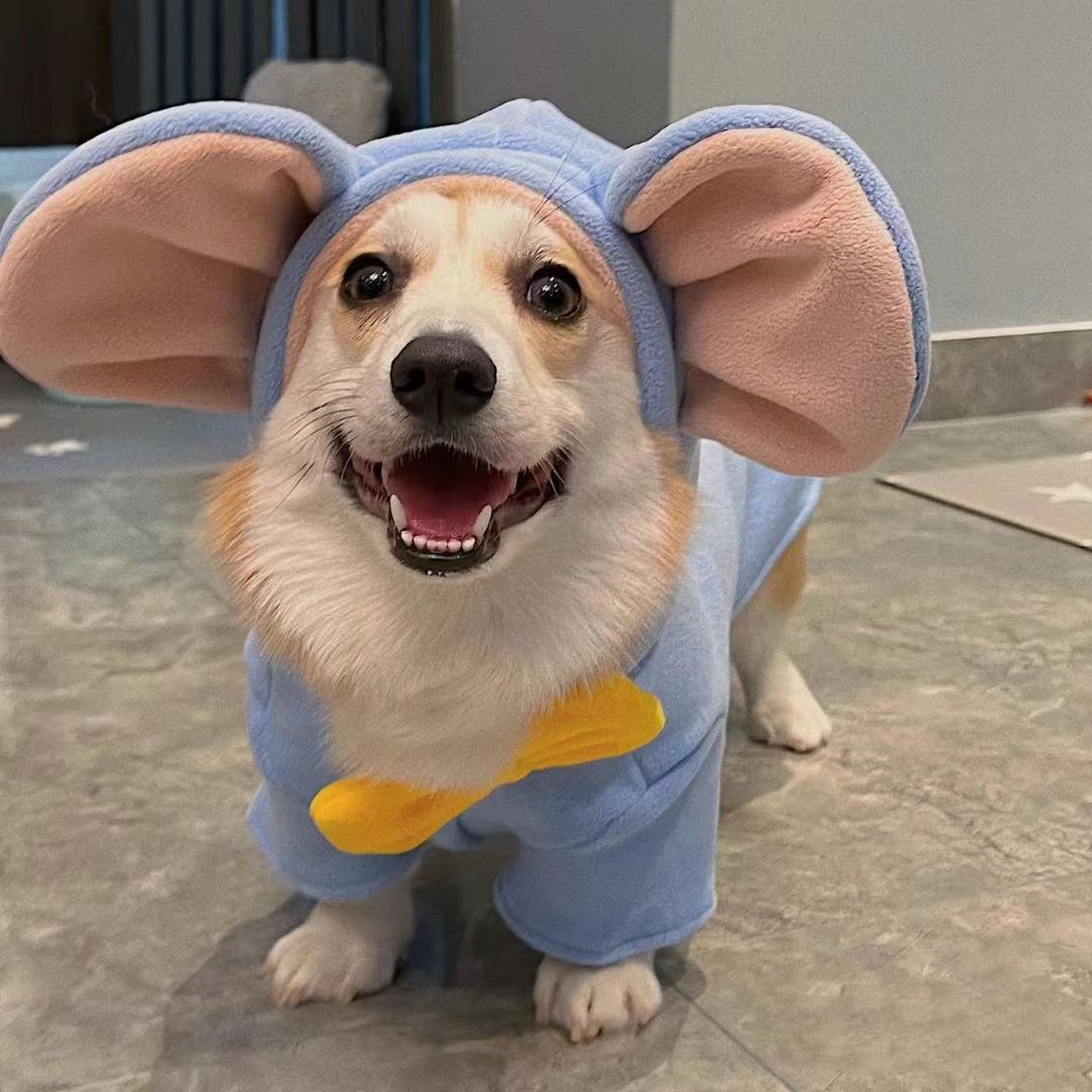 小飞象狗狗衣服柯基犬比熊雪纳瑞柴犬狗狗衣服秋冬款狗狗冬季衣服
