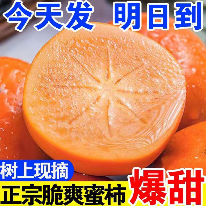 脆柿子脆甜新鲜应季水果现摘脆皮硬黄柿子巧克力柿子整箱批发包邮